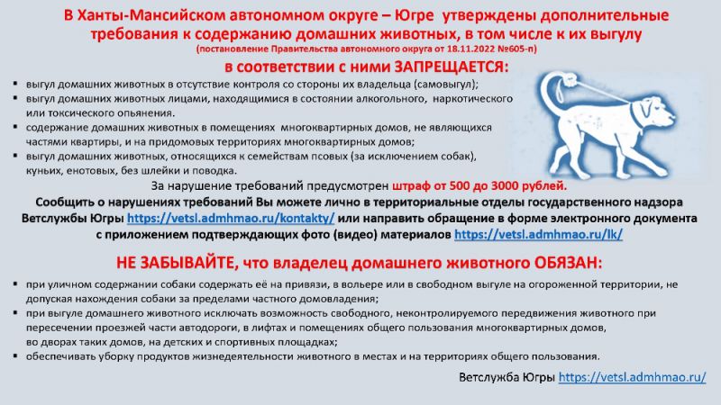 В Ханты-Мансийском автономном округе - Югре утверждены дополнительные требования к содержанию домашних животных, в том числе к их выгулу
